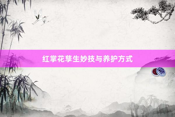 红掌花孳生妙技与养护方式