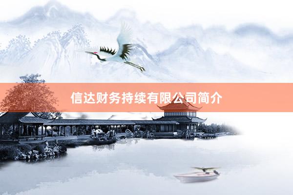 信达财务持续有限公司简介
