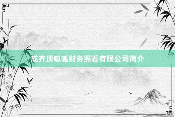 成齐顶呱呱财务照看有限公司简介